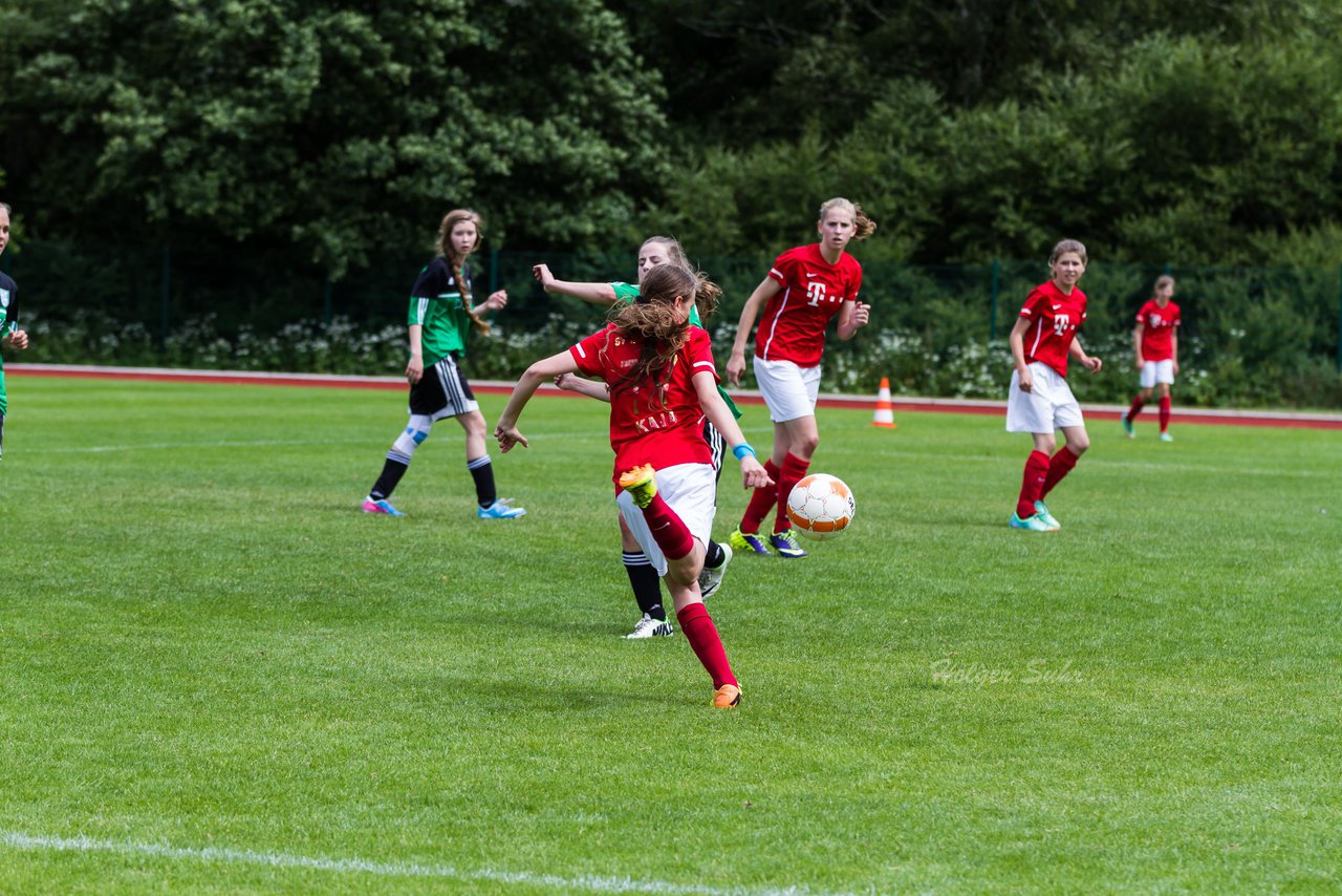 Bild 238 - C-Juniorinnen Landesmeister Finale SV Wahlstedt - TuRa Meldorf : Ergebnis: 1:4